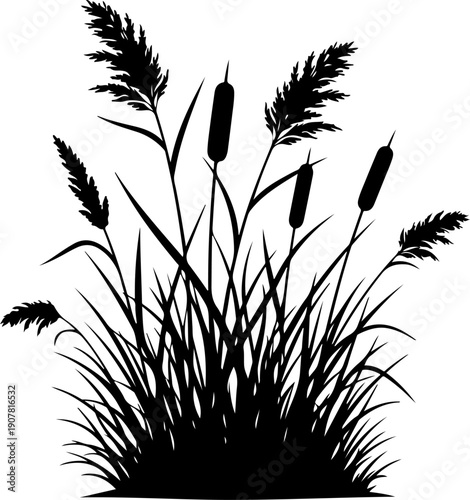 Grass and reeds silhouette vector illustration