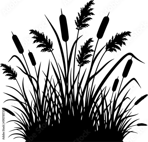 Grass and reeds silhouette vector illustration