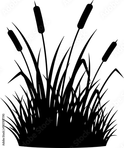 Grass and reeds silhouette vector illustration