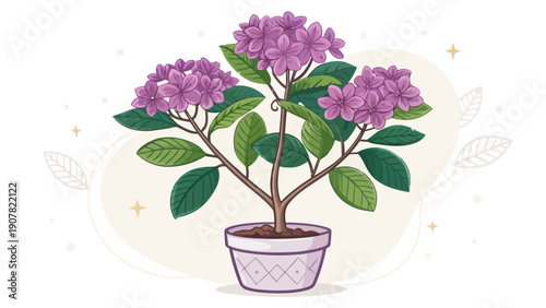 Beautiful flowering plant in elegant purple pot
