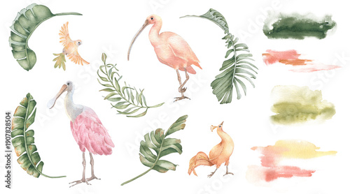 Tableau sur toile Tropical clipart illustrations of animals plant leaf and watercolor splash isolated white