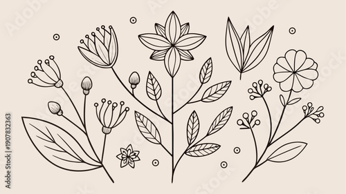 Minimal floral line art illustration with hand drawn flowers, leaves and botanical elements in elegant monochrome style on light background