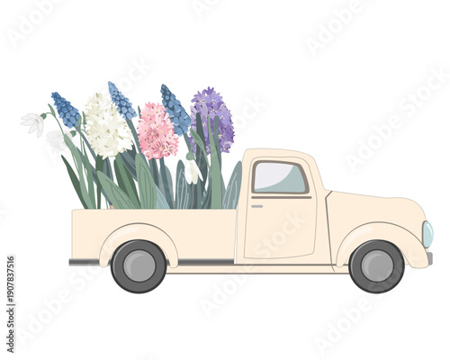 Beige vintage truck with spring flowers in the back. Hello Spring concept. Easter, woman day or birthday card. Flower delivery, vector isolated illustration.