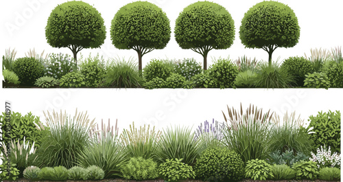 garden landscape bushes trees shrubs grass plants greenery foliage nature vector illustration design decorative outdoor natural