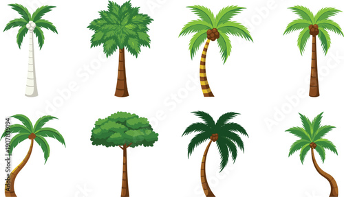 Palm Tree Vector Illustration Set with Tropical Coconut Trees in Different Shapes Styles and Angles for Summer Nature and Travel Designs