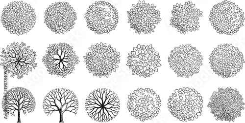 tree top view lineart collection foliage canopy botanical illustration vector design nature round forest symbols
