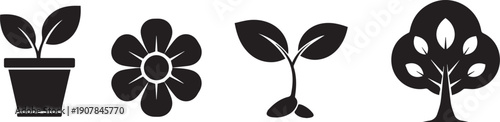 Four different plant silhouettes on white background