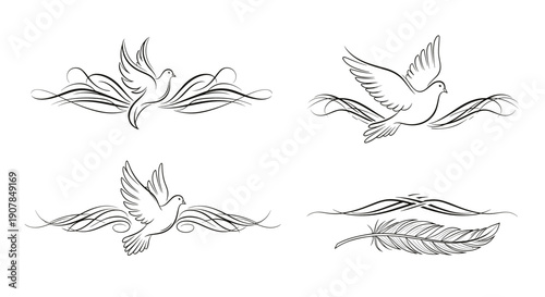 Elegant bird and feather decorative elements for artistic design