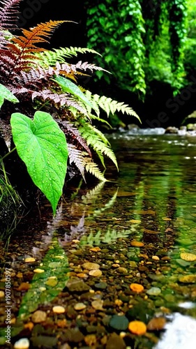 Vibrant green foliage thrives beside a clear stream with colorful pebbles