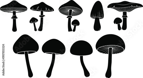 Set of mushroom silhouette icons in various shapes and sizes, black fungi vector collection for forest designs, botanical logos, nature illustrations, and clipart