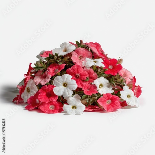 Mound of pink, red, and white petunia blossoms