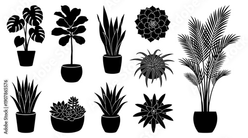 Collection of various potted plants in black silhouette.
