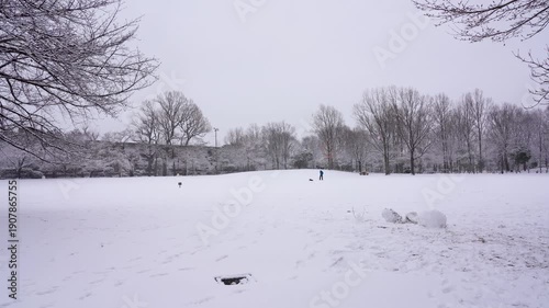 Wallpaper Mural Snow Falling Over a Peaceful Park in Tokyo City Torontodigital.ca