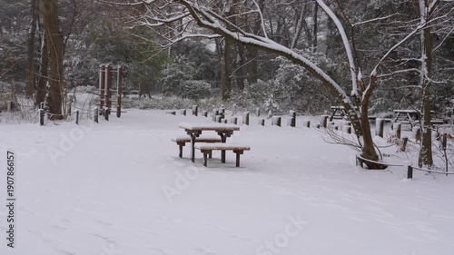 Wallpaper Mural Snow Falling Over a Peaceful Park in Tokyo City Torontodigital.ca