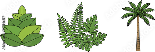 Collection of stylized green tropical leaves and a palm tree illustration