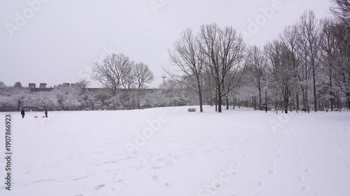 Wallpaper Mural Snow Falling Over a Peaceful Park in Tokyo City Torontodigital.ca