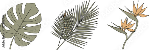 Monstera leaf, palm frond, and bird of paradise flowers in a minimalist botanical illustration