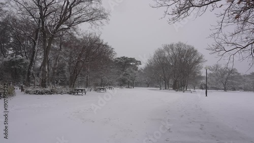 Wallpaper Mural Snow Falling Over a Peaceful Park in Tokyo City Torontodigital.ca