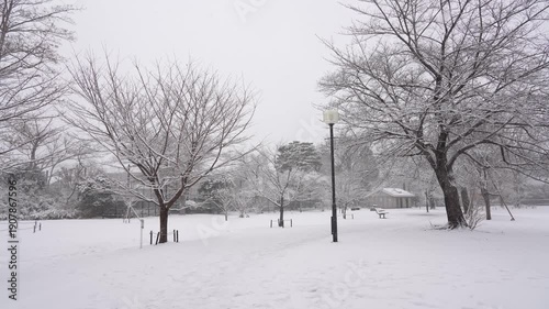 Wallpaper Mural Snow Falling Over a Peaceful Park in Tokyo City Torontodigital.ca