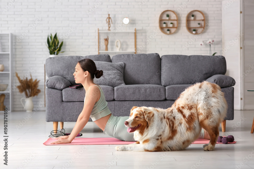Fototapeta premium Young woman with Australian Shepherd dog stretching in living room