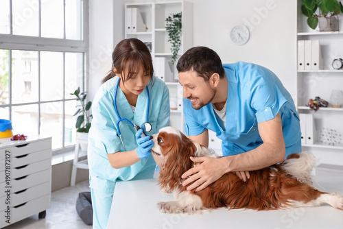 Veterinarians cutting cute ...