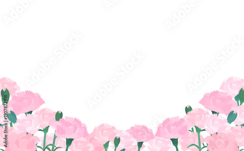 薄ピンクカーネーションの背景透過フレーム_下_横