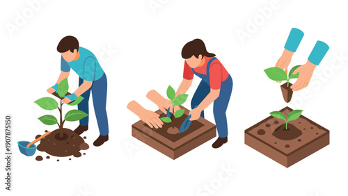 Isometric gardening sequence: planting and growing saplings in three steps