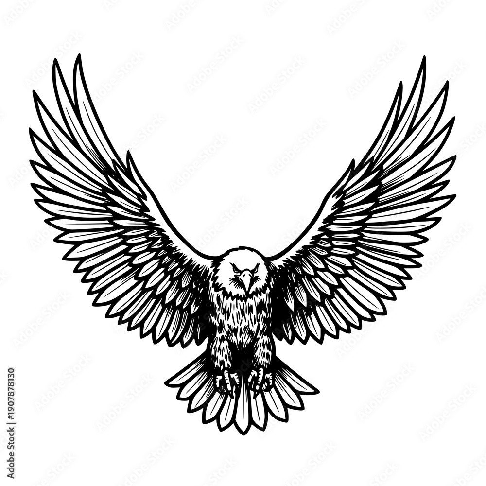 Obraz premium Majestic Eagle With Outspread Wings