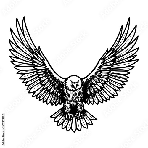 Majestic Eagle With Outspread Wings