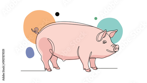 Sketch of a domestic pig in line art style surrounded by abstract colorful circles on a white background for farm and food concepts.