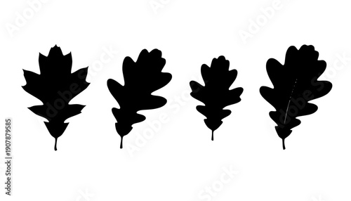 Quercus Oak Leaf
