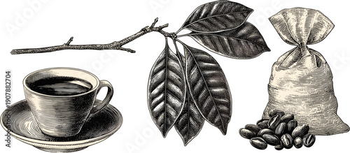 Coffee beans, coffee tree leaves and a cup of hot black coffee drink with a coffee bag, a vector set isolated on a white background in vintage clip art style