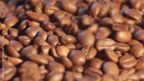 coffee beans close up
