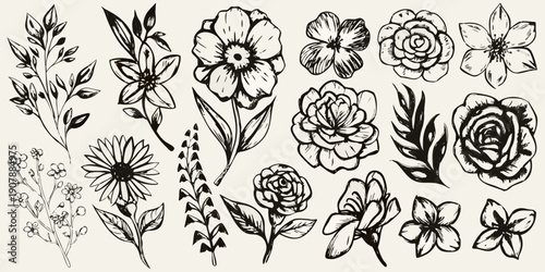 A collection of vintage style botanical floral sketches in black ink