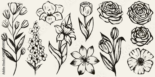 Vintage floral sketch featuring roses lilies and other botanical elements