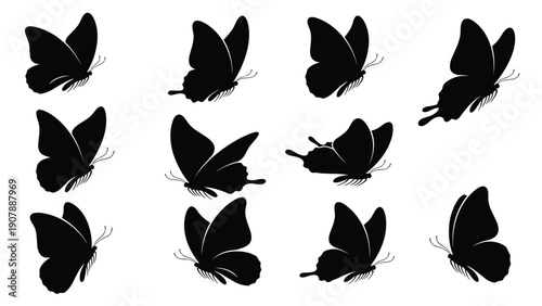 Set of black butterfly silhouettes in various flying poses and wing positions suitable for decorative nature and insect design work.