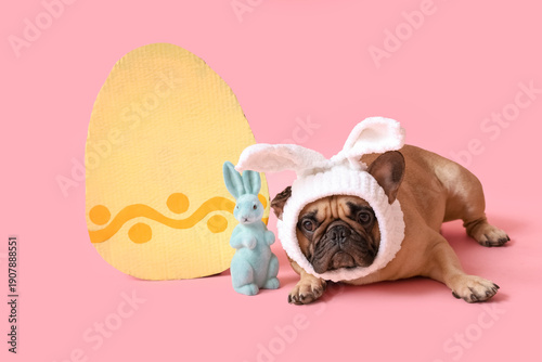 Cute French bulldog in bunn...