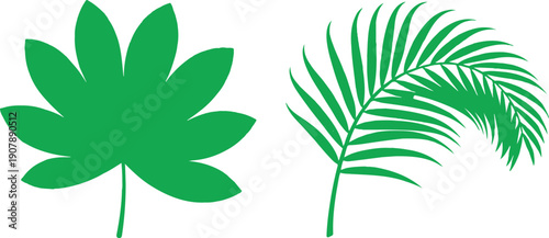 Tropical Leaf Outline Icon Set  Palm, Grass, and Foliage Elements