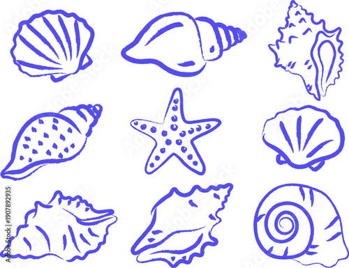 
Blue hand-drawn ocean seashells, simple doodle lines depicting ocean seashells and starfish; suitable for children's educational cards, journal stickers, and aquarium brochure illustrations.