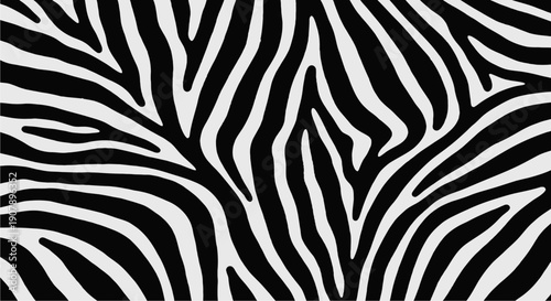 Close-up view of a classic black and white zebra stripe pattern, showcasing natural animal fur texture.
