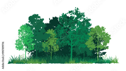 Lush green forest illustration featuring a diverse collection of trees and rich foliage, perfect for environmental and nature-themed design projects