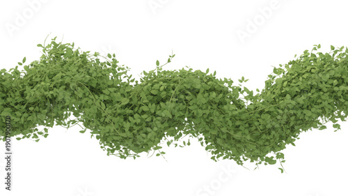Vibrant green plant vine with abundant leaves gracefully intertwining, presented as an isolated natural element for design projects and creative compositions