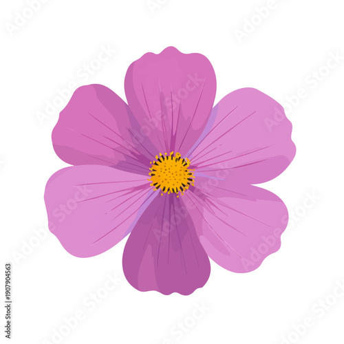 Simple flat 2D vector graphic of Cosmos Flower, modern icon look, displayed on a pure white background.