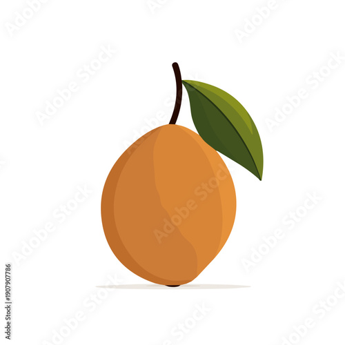 2D flat vector illustration of Sapodilla, designed in a clean icon style and isolated on a white background.