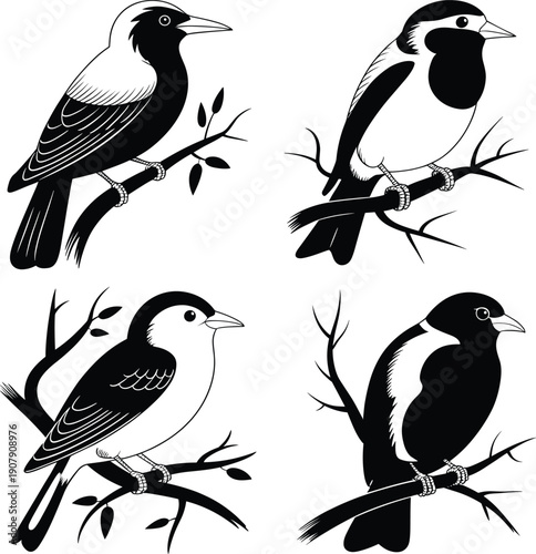 Set of four black and white bird illustrations perched on branches featuring diverse species for nature lovers and decorative designs. (Exactly 20 words)