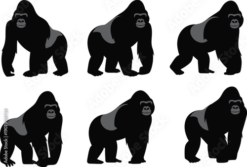 Set of six black gorilla silhouettes in various standing and walking poses with gray back details for wildlife nature designs. (Exactly 20 words)