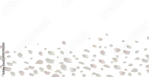 Elegant white and light pink rose petals scattered on white background horizontal banner Valentines Day wedding copy space vector illustration