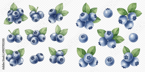 Watercolor illustration of fresh blueberries with green leaves, ripe and healthy fruit collection.