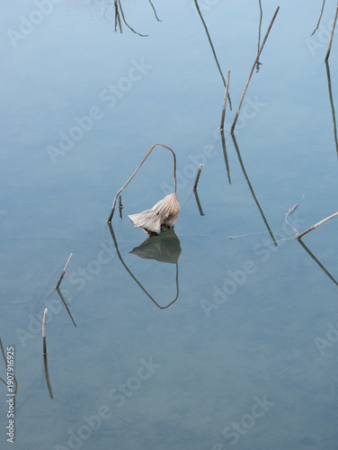 Melancholy Reflections: Winter Water Scene