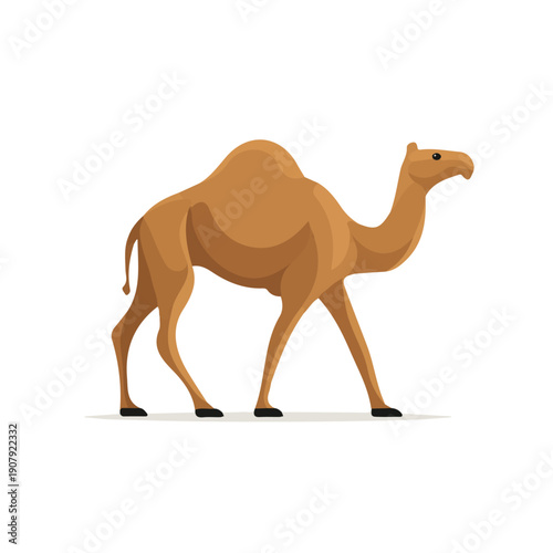 Flat 2D vector illustration of Dromedary, simple icon style on a clean white background.